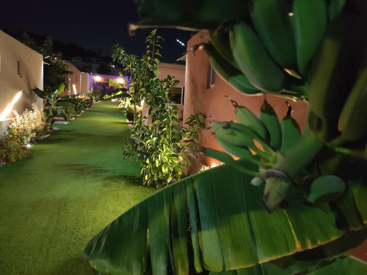 Modular Bungalows With Heated Pool Artemis Greece Esterno foto